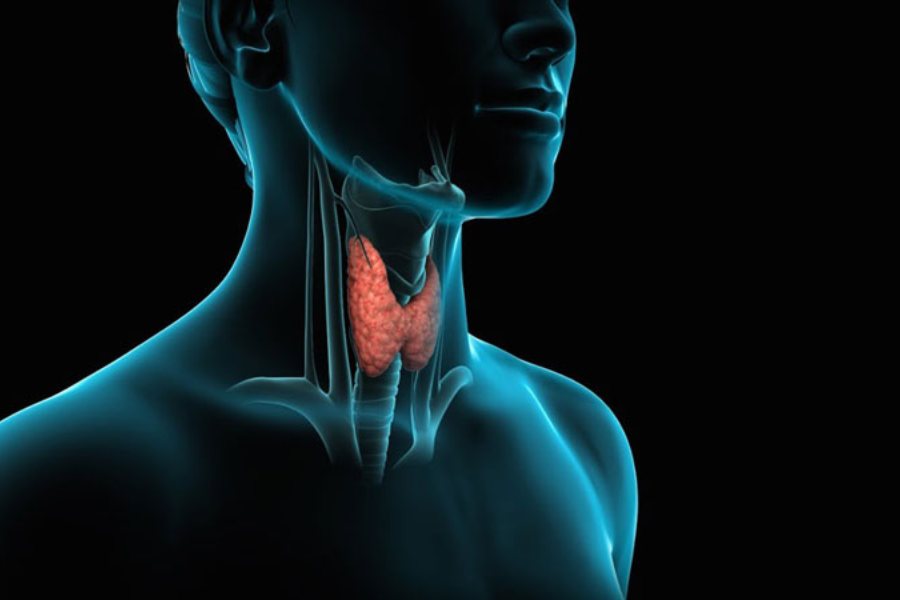 Cắt bỏ một phần tuyến giáp khi bướu giáp to không gây nguy hiểm