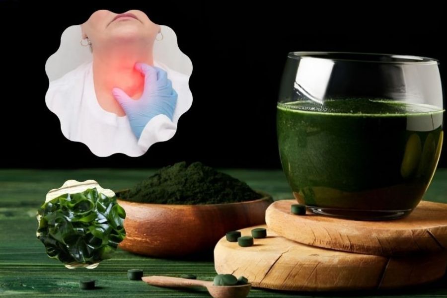 U tuyến giáp có uống được tảo biển không? VẪN CÓ THỂ sử dụng tảo biển